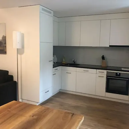Fantastic 2br Flat Close To Paradeplatz - Canal2 * Zurich