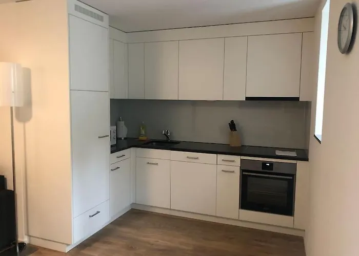 Fantastic 2br Flat Close To Paradeplatz - Canal2 زيورخ